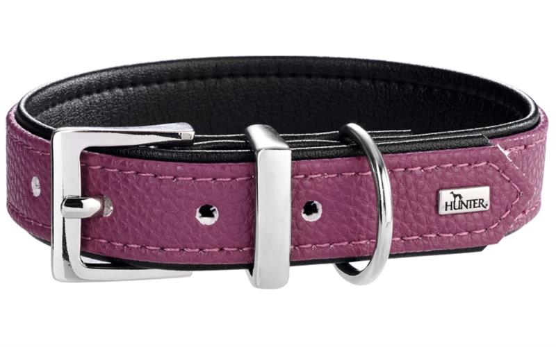 Obojky, vodítka, postroje a adresáře