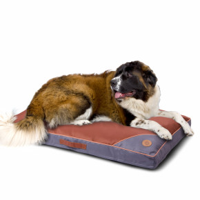 Matrace s potahem Slip-on XXL, 136×88 cm, hnědá, kompletní matrace Slip-on