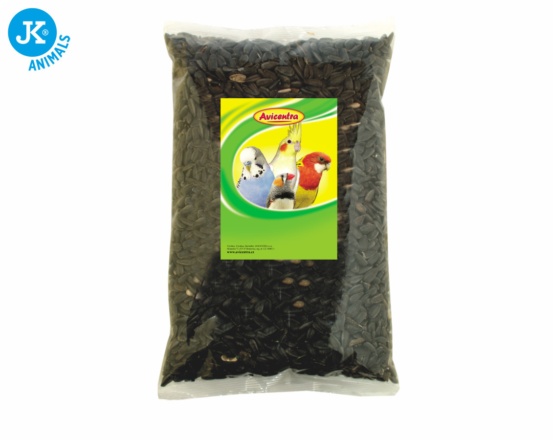 Avicentra – slunečnice černá